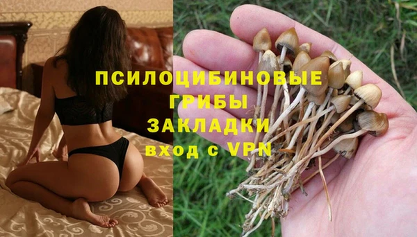 mdpv Киреевск