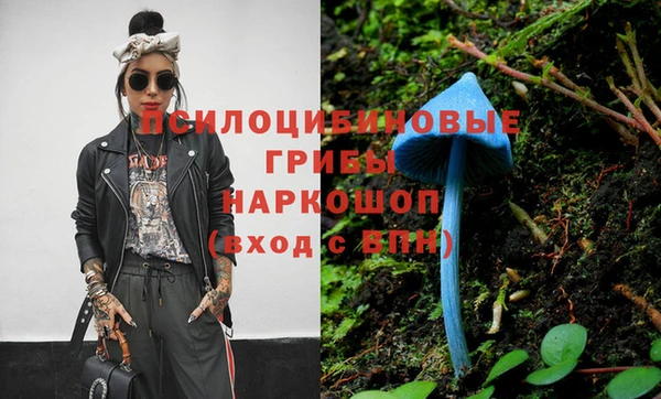 mdpv Киреевск